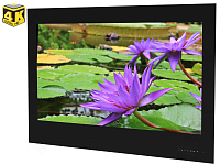AVS430SM 43" Smart TV (schwarzer Rahmen)